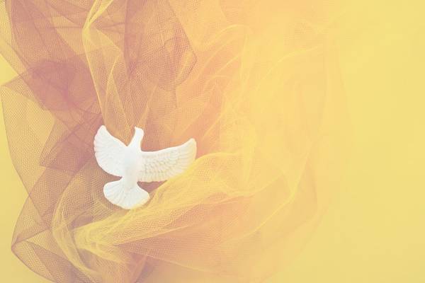 Quelle: canva.com