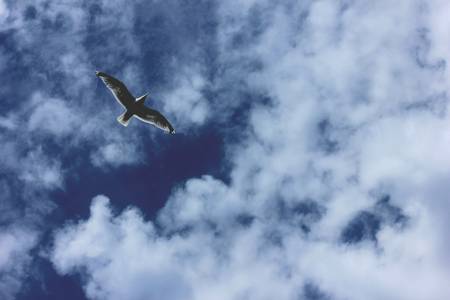 Quelle: stefan-gessert@unsplash.com