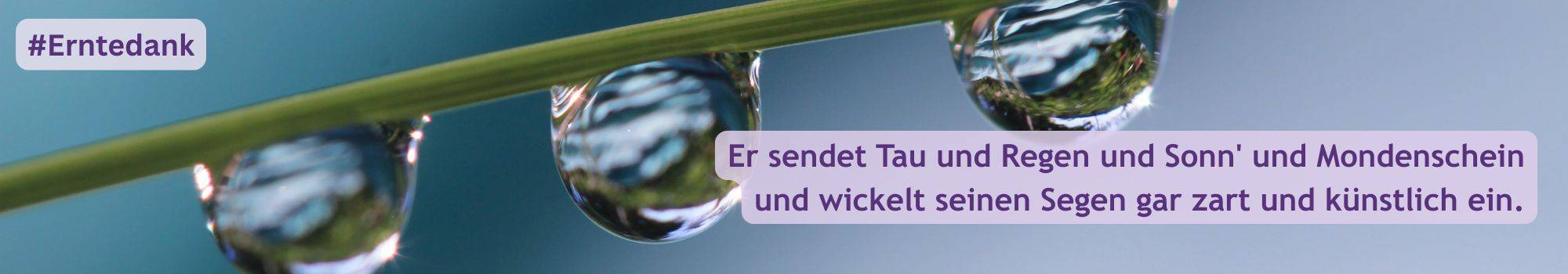 Quelle: Simone Heidbrink / Canva